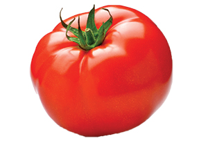 top5_tomato